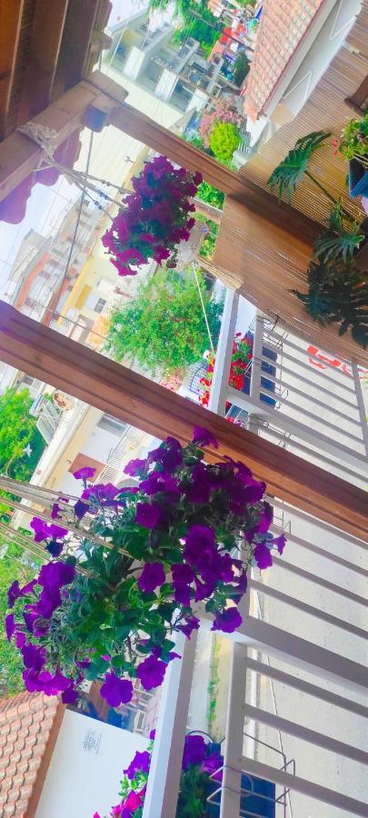 Ferienwohnung Persefoni 's hause 1 Nea Kallikrateia Exterior foto